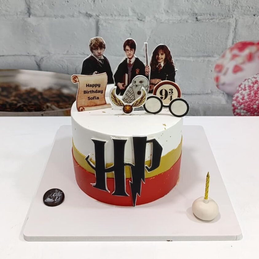 Harry Potter cake